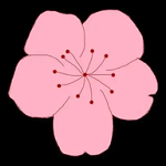 WWW,191se·COM网站APPAPP应用